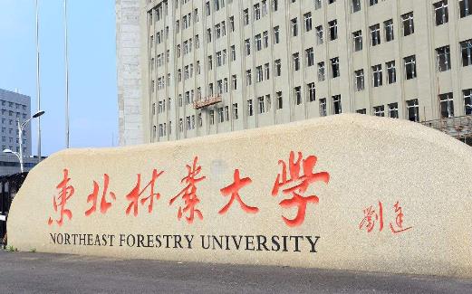 4、東北林業(yè)大學.jpg