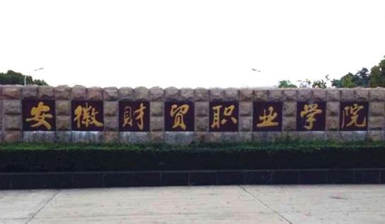 8、安徽財貿(mào)職業(yè)學院.jpg