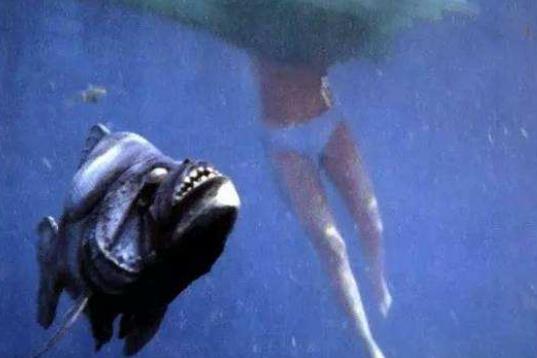 一、食人魚.jpg