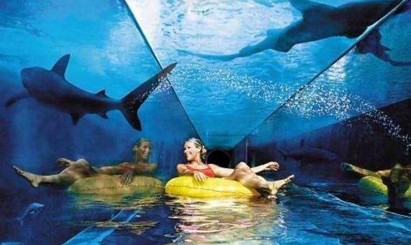 三、最刺激的泳池——“水族箱泳池.jpg