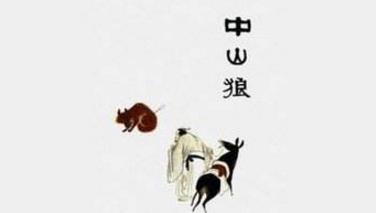 7、中山狼.jpg