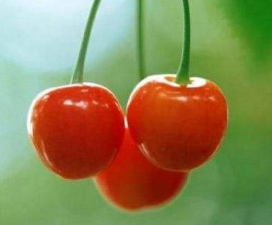 4、彩虹莊園.jpg