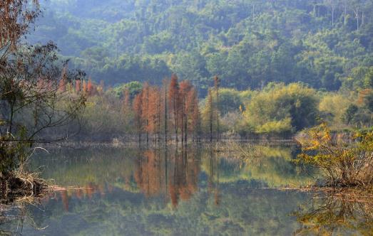 3、五桂山.jpg
