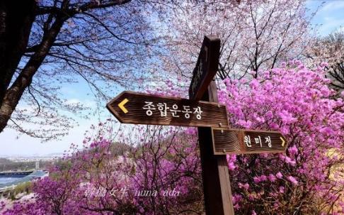 韓國(guó)十大城市排行榜,首爾第一,釜山第二
