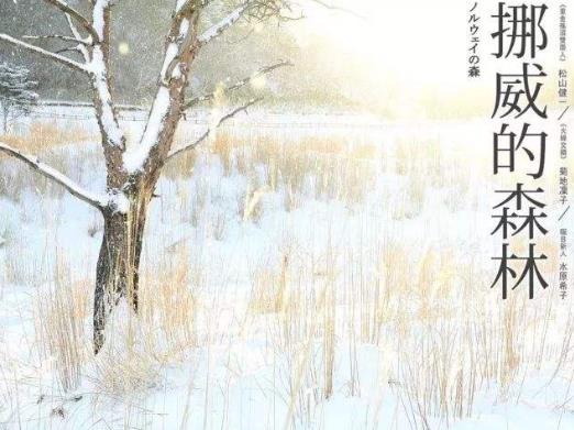 女生必看的十本書(shū)籍排行榜,《傾城之戀》第一,《情人》第二