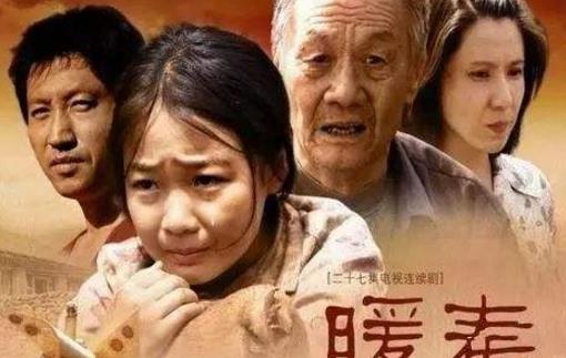 中國十大經(jīng)典感人電視劇排名,《福貴》第一,《一把青》第二