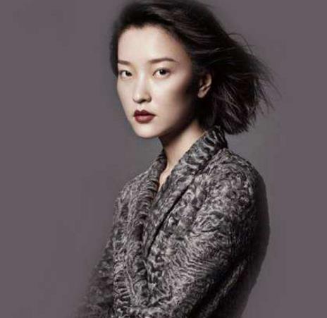 中國內(nèi)地十大女超模排行榜,劉雯第一,何穗第二