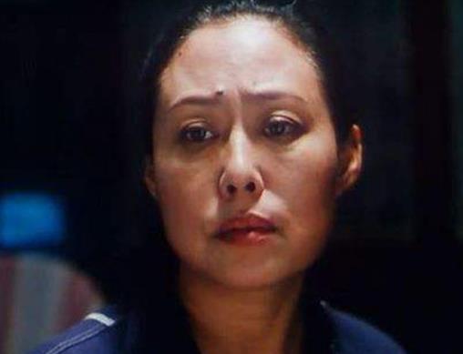 十大感人國產(chǎn)電影排行榜,《媽媽再愛我一次》《可可西里》引人淚目