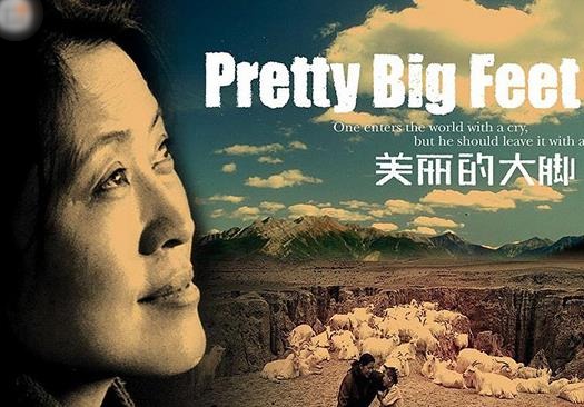 十大感人國產(chǎn)電影排行榜,《媽媽再愛我一次》《可可西里》引人淚目