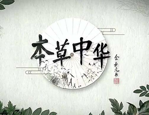中國十佳紀(jì)錄片排名,《二十二》《航拍中國》很有魅力