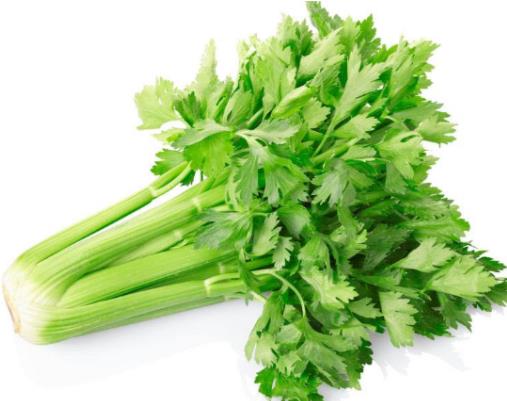 14款低熱量減肥食物排名,大白菜、芹菜是減肥的好幫手