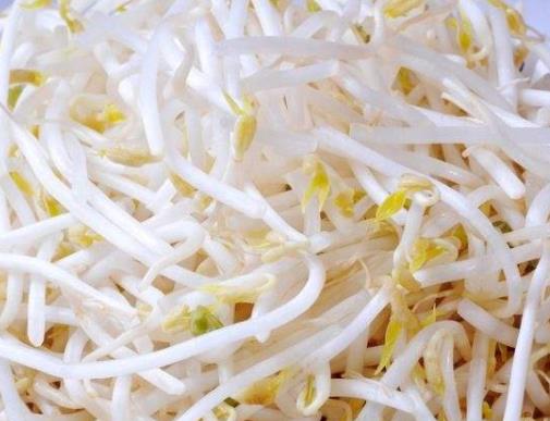 14款低熱量減肥食物排名,大白菜、芹菜是減肥的好幫手