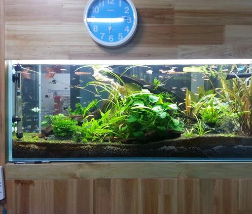 十大魚(yú)缸過(guò)濾器排名,森森、瘋狂石頭的品牌都不錯(cuò)
