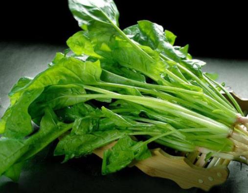世界十大健康蔬菜排名,番茄、西蘭花有益身體健康