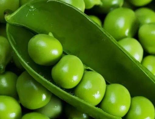 世界十大健康蔬菜排名,番茄、西蘭花有益身體健康