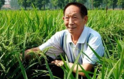 百度沸點2019年度十大年度人物,袁隆平、屠呦呦影響力很大
