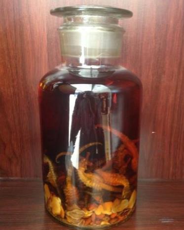 十大補(bǔ)腎壯陽酒排名,鹿鞭酒用于腎虛,藏鷹酒溫補(bǔ)壯陽