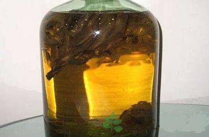 十大補(bǔ)腎壯陽酒排名,鹿鞭酒用于腎虛,藏鷹酒溫補(bǔ)壯陽
