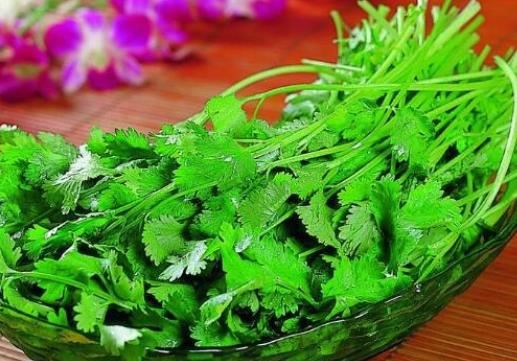 十大補(bǔ)腎蔬菜排名,香菜的微量元素排毒素,大蔥補(bǔ)腎壯陽