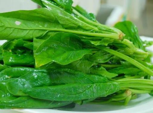 十大補(bǔ)腎蔬菜排名,香菜的微量元素排毒素,大蔥補(bǔ)腎壯陽