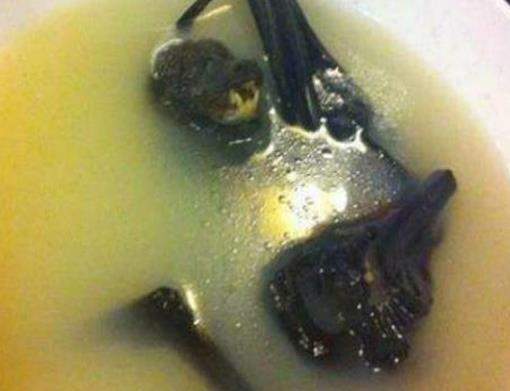 江門(mén)十大小吃排名,竹筒飯是江門(mén)特色,外海面韌性十足