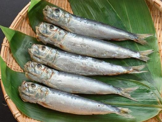 十大抗癌魚(yú)類排名,鮑魚(yú)中的鮑靈素可抗癌,帶魚(yú)抗癌能力很強(qiáng)