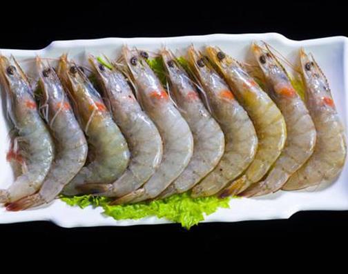 十大抗癌魚(yú)類排名,鮑魚(yú)中的鮑靈素可抗癌,帶魚(yú)抗癌能力很強(qiáng)