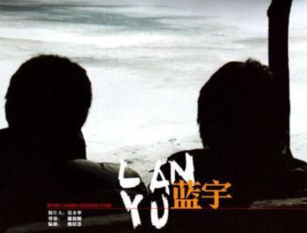 國內(nèi)十部經(jīng)典同性戀電影,《東宮西宮》《自梳》都是經(jīng)典作品