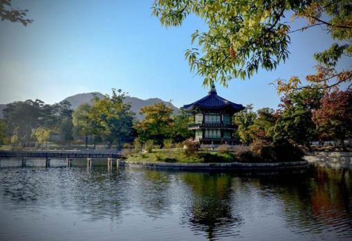 過年國(guó)外旅行熱門景點(diǎn)排名,韓國(guó)濟(jì)州島能免簽,東京讓你流連忘返
