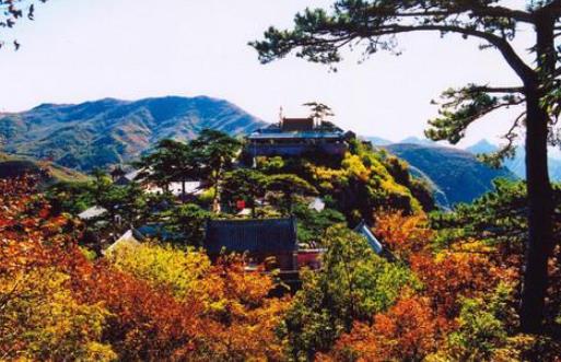 2019中國文化強(qiáng)縣排行榜,繁昌縣有文化價(jià)值,岳西縣森林覆蓋率高