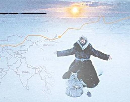 十大經(jīng)典探險(xiǎn)求生電影排名,《南極大冒險(xiǎn)》《重見天日》驚險(xiǎn)刺激