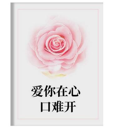 十本現(xiàn)代破鏡重圓的小說排名,《十年一品溫如言》故事精彩