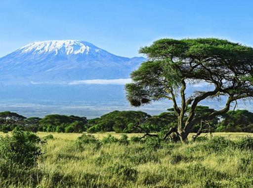 世界十大最令人驚嘆的火山,富士山是旅游勝地,埃特納火山很獨特