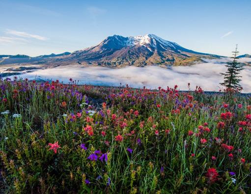 世界十大最令人驚嘆的火山,富士山是旅游勝地,埃特納火山很獨特