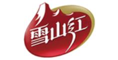 國內十大黑枸杞品牌,中寧枸杞、百瑞源黑枸杞保健養(yǎng)生