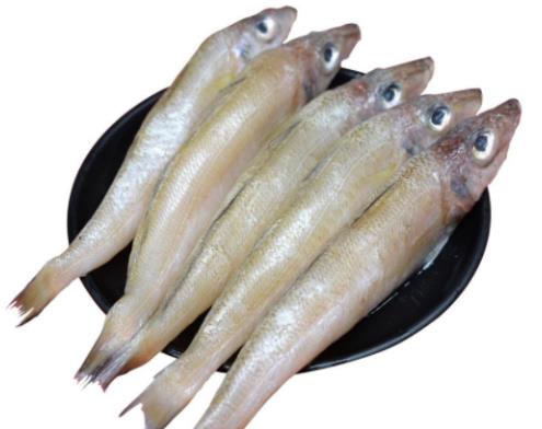 最適合孩子吃的海鮮,龍利魚有助視力健康、白對蝦促進發(fā)育