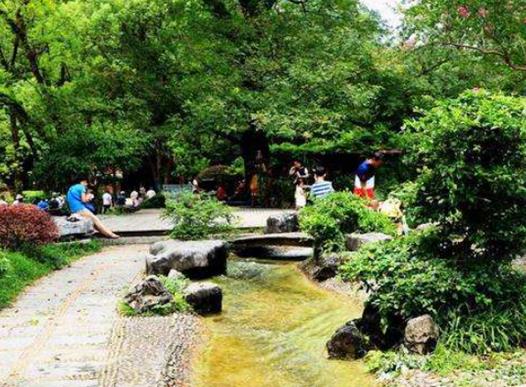 焦作十大風景名勝排行榜,茱萸峰景區(qū)、青天河風景區(qū)風景秀麗開闊