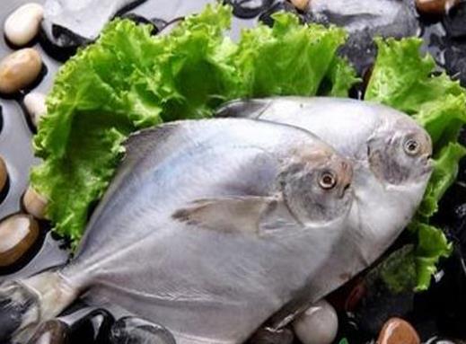 最適合孩子吃的八種魚排名,龍利魚口感肥美鮮嫩,銀魚對腸胃很友好