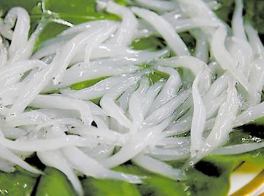 最適合孩子吃的八種魚排名,龍利魚口感肥美鮮嫩,銀魚對腸胃很友好