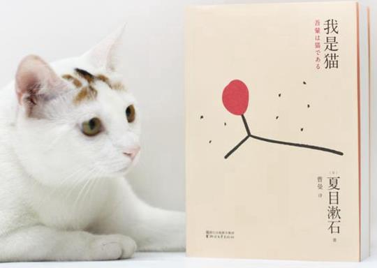 日本十大文學(xué)名著排行榜,《源氏物語》《雪國》都非常受歡迎