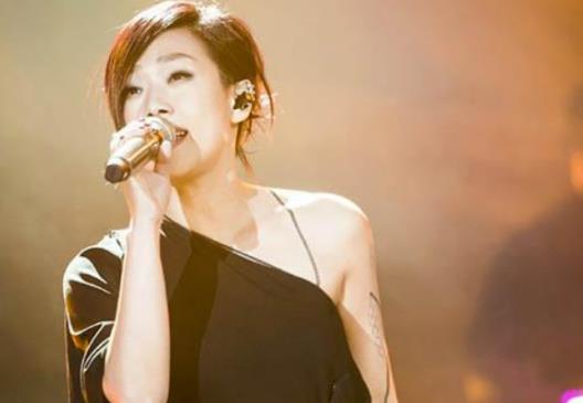 十大華人女歌手排行榜,王菲是實(shí)力派歌手、林憶蓮受人矚目