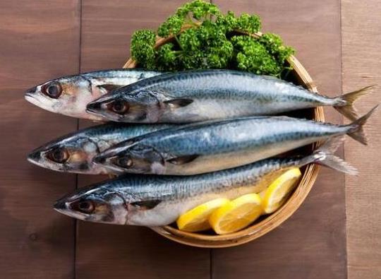 中國最常吃的十種淡水魚,草魚能開胃滋補(bǔ)、鯖魚魚肉堅(jiān)實(shí)