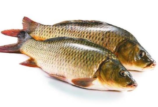 中國最常吃的十種淡水魚,草魚能開胃滋補(bǔ)、鯖魚魚肉堅(jiān)實(shí)