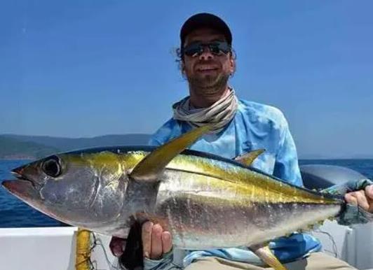 世界十大游速最快的魚,印度槍魚體內(nèi)脂肪含量高、旗魚生性勇猛
