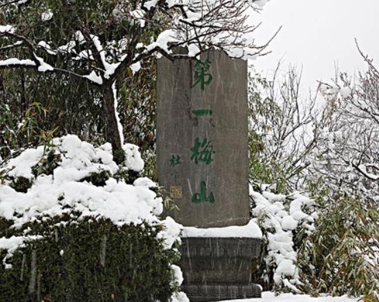 南京十大賞雪勝地排行榜,夫子廟古色古香、紫金山雪景別有一番風(fēng)味