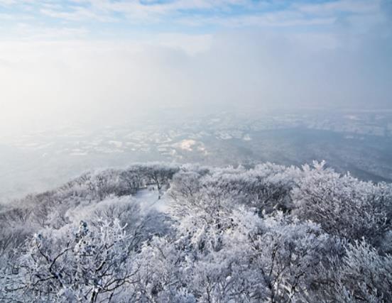 南京十大賞雪勝地排行榜,夫子廟古色古香、紫金山雪景別有一番風(fēng)味