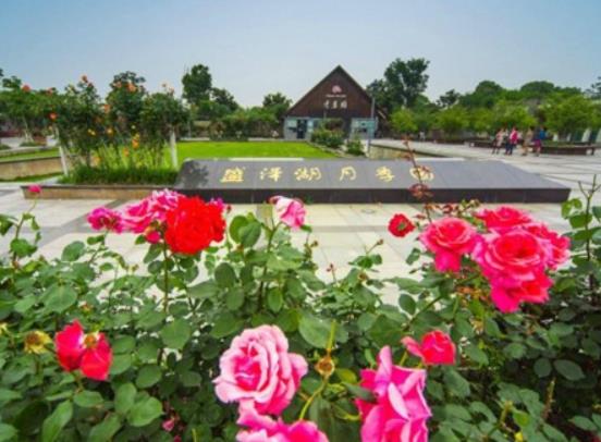 蘇州十大主題公園排行榜,蘇州樂園森林世界、蘇州海洋館讓你享受快樂