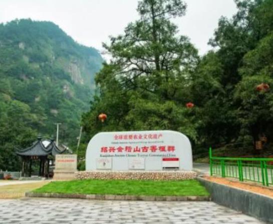 中國(guó)十大最美森林排行榜,輪臺(tái)縣塔里木胡楊林公園崇高又圣潔