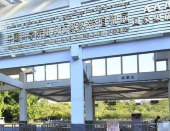 中國(guó)十大最美森林排行榜,輪臺(tái)縣塔里木胡楊林公園崇高又圣潔