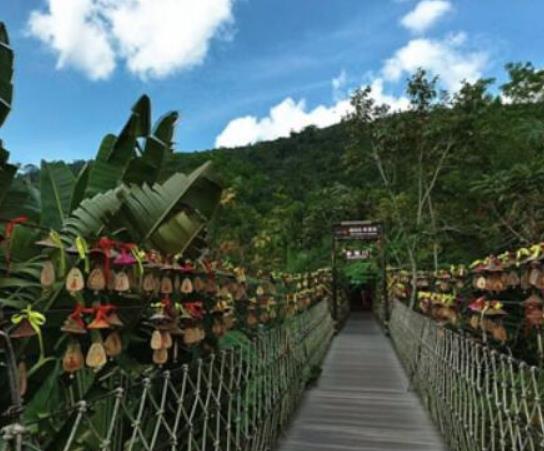 中國(guó)十大最美森林排行榜,輪臺(tái)縣塔里木胡楊林公園崇高又圣潔